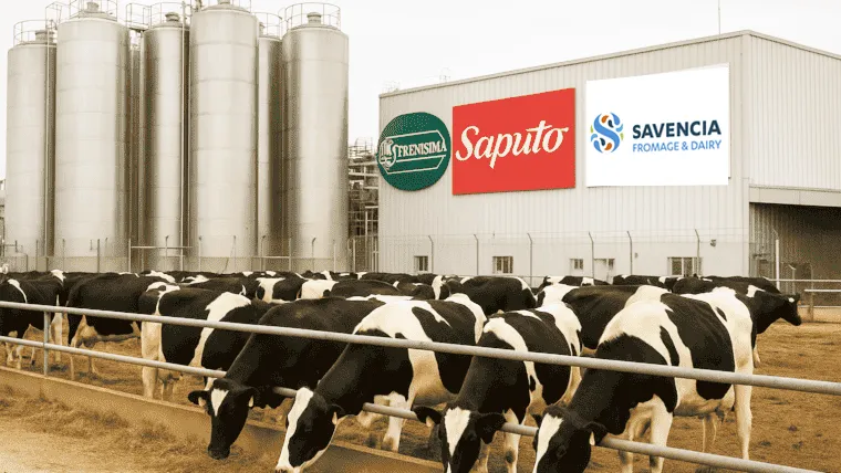 La realidad del sector lechero 1