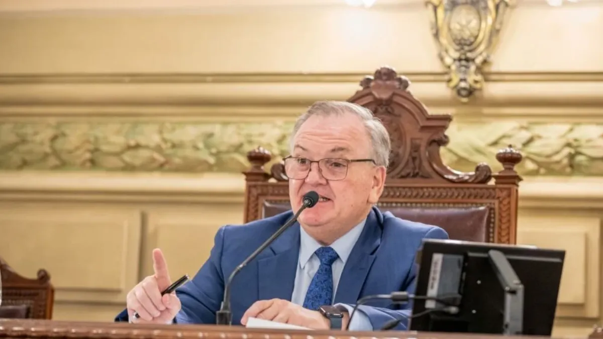 Presidente provisional del Senado, Felipe Michlig.