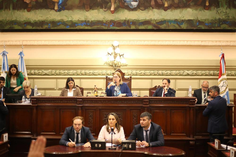 Reforma previsional - Senado dio media sancion