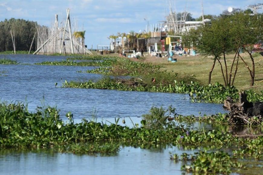Crecida Rio Parana