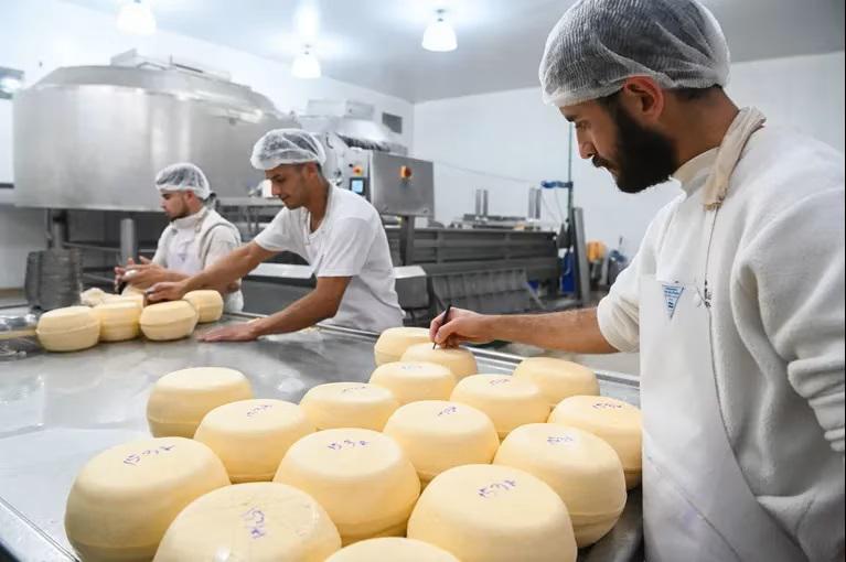 Produccion de quesos
