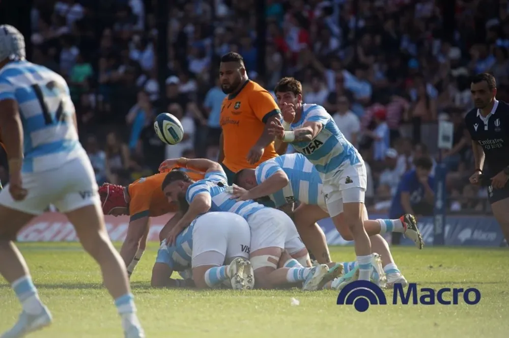 Macro en rugby 2