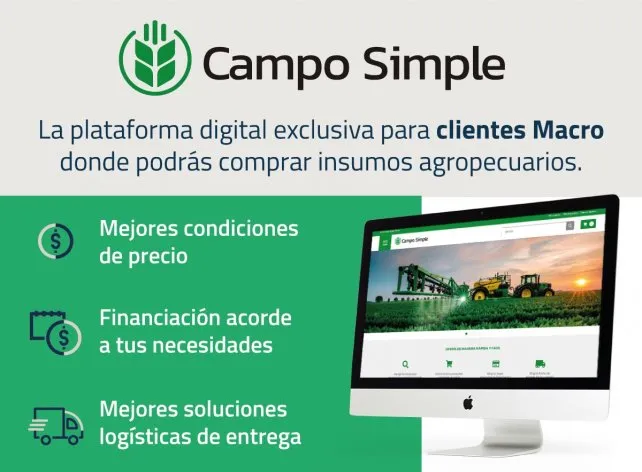 campo simple